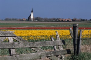 den hoorn bollenvelden-FotoHeinzTiemann