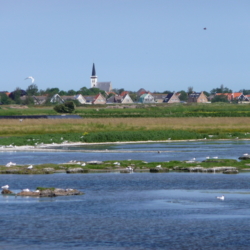 Ferienwohnung auf Texel