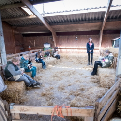 Ferienwohnung auf Texel