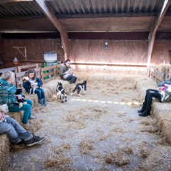 Ferienwohnung auf Texel