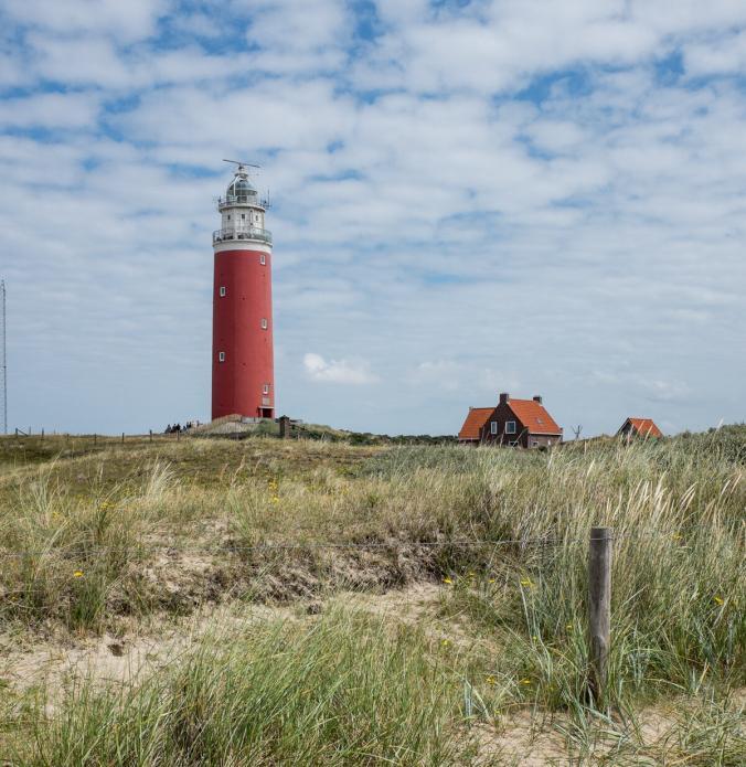 Der Leuchtturm von Texel umgeben von Häusern