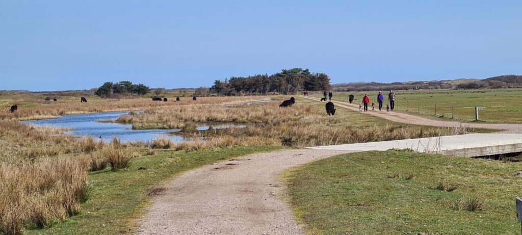 Ferienwohnung auf Texel